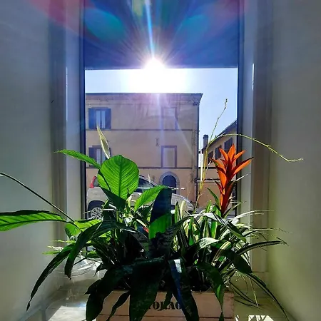 San Francesco E Il Lupo