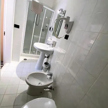 San Francesco E Il Lupo