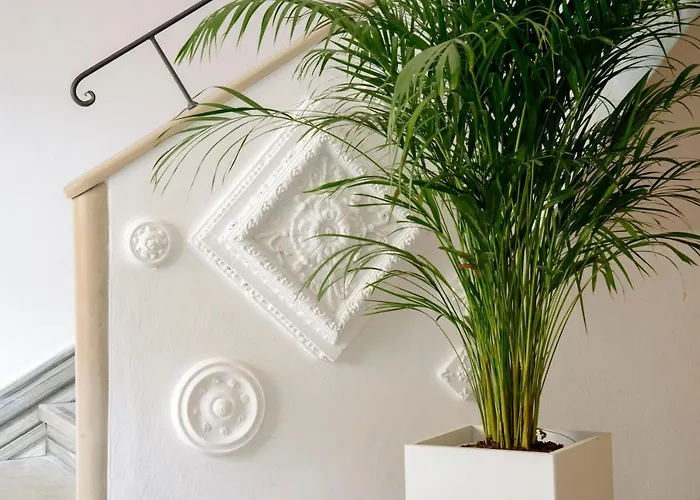 San Francesco E Il Lupo グッビオ