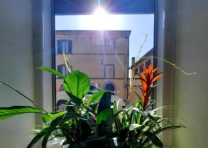 San Francesco E Il Lupo