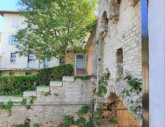 San Francesco E Il Lupo 3*